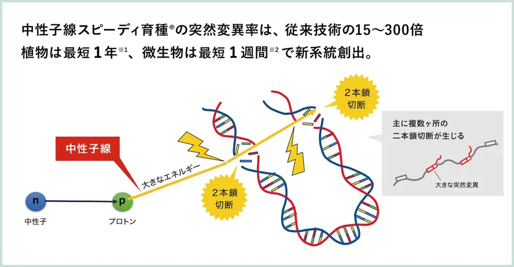 【7/15〜17】クォンタムフラワーズ＆フーズ（QFF）、「施設園芸・植物工場展2026（GPEC）」に出展決定 画像 2