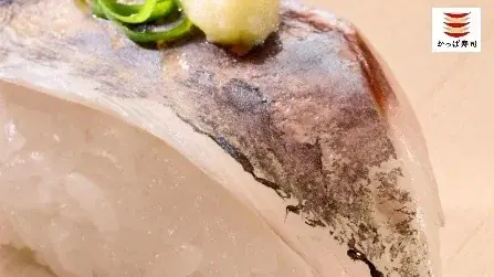 かっぱ寿司、夏を先取りするネタを110円（税込）から！「かつお」や「天然あじ」など、鮮度＆品質にこだわる「かっぱの初夏の極旨ネタ祭り」を開催！ 画像 14