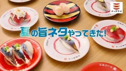 かっぱ寿司、夏を先取りするネタを110円（税込）から！「かつお」や「天然あじ」など、鮮度＆品質にこだわる「かっぱの初夏の極旨ネタ祭り」を開催！ 画像 16