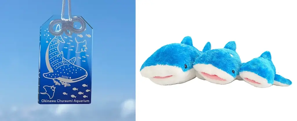 【ロフト】日本の水族館の魅力に触れる銀座ロフトの人気企画「旅する水族館2026」開催 画像 4