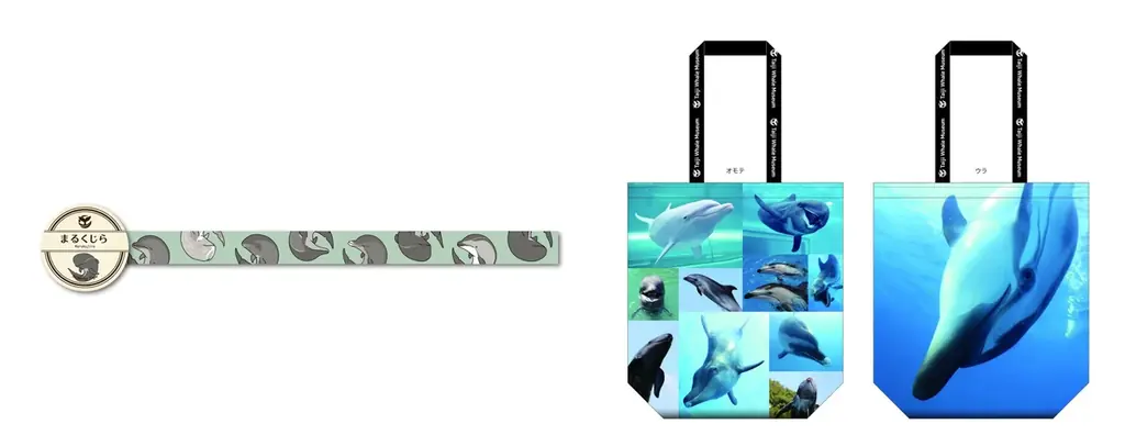 【ロフト】日本の水族館の魅力に触れる銀座ロフトの人気企画「旅する水族館2026」開催 画像 9