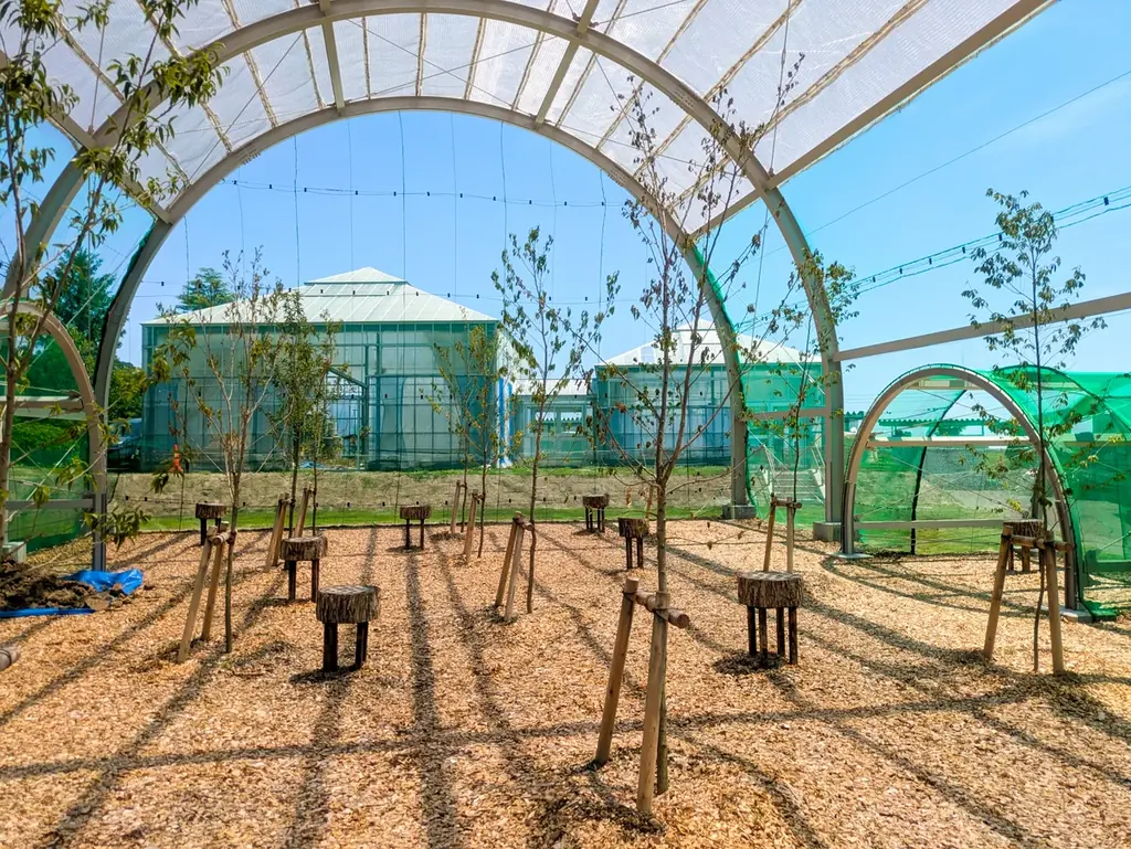 【東北最大級】新たな遊び場「岩沼市子どもの遊びと交流基地 ｍｉｉｉｎａ（ミイナ）」が6月19日にオープン！ 画像 17