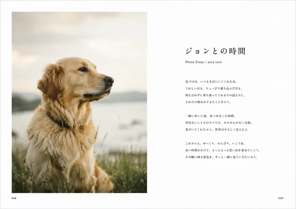 “うちのこ”との思い出を写真と言葉で残す。「うちのこフォトエッセイ」2026年7月より受付開始予定 画像 3