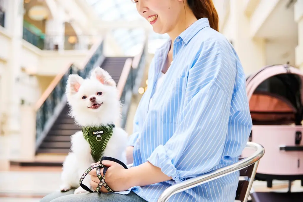 猛暑に備え、大人気プールの早期オープンが決定！今年の夏は、パーク全体で数々の熱中症対策を強化し安心で涼しく「ワクワクが、続々！」をお届けします。 画像 8