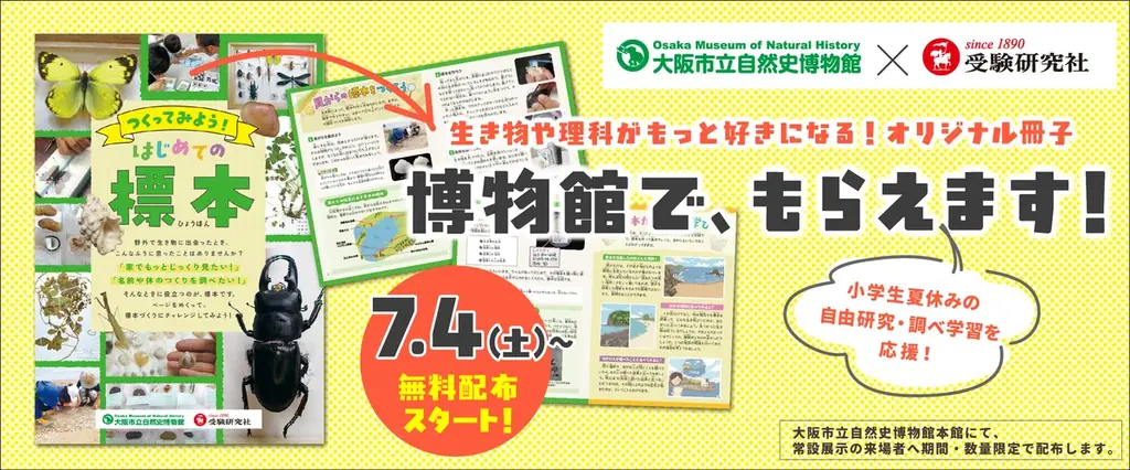 はじめての標本配布