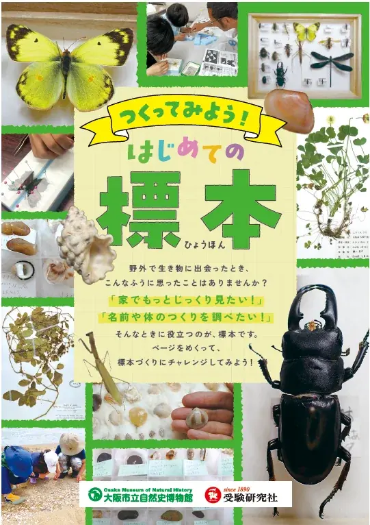 大阪市立自然史博物館と受験研究社のコラボで、夏休みの自由研究・調べ学習を応援！博物館でもらえる！＜植物・貝がら・こん虫＞はじめての標本づくりをサポートするオリジナル冊子を7月から期間限定で配布 画像 2