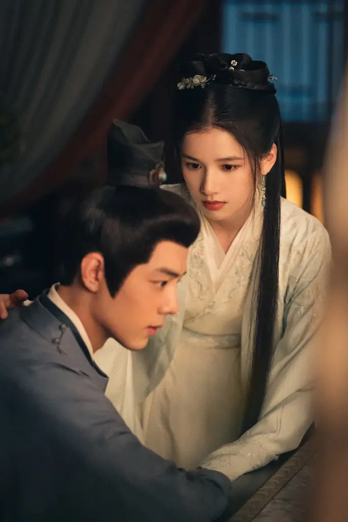 中国ドラマ「蔵海伝～静かなる炎、宮廷を揺るがす～」DVD-BOX発売決定！ 画像 4