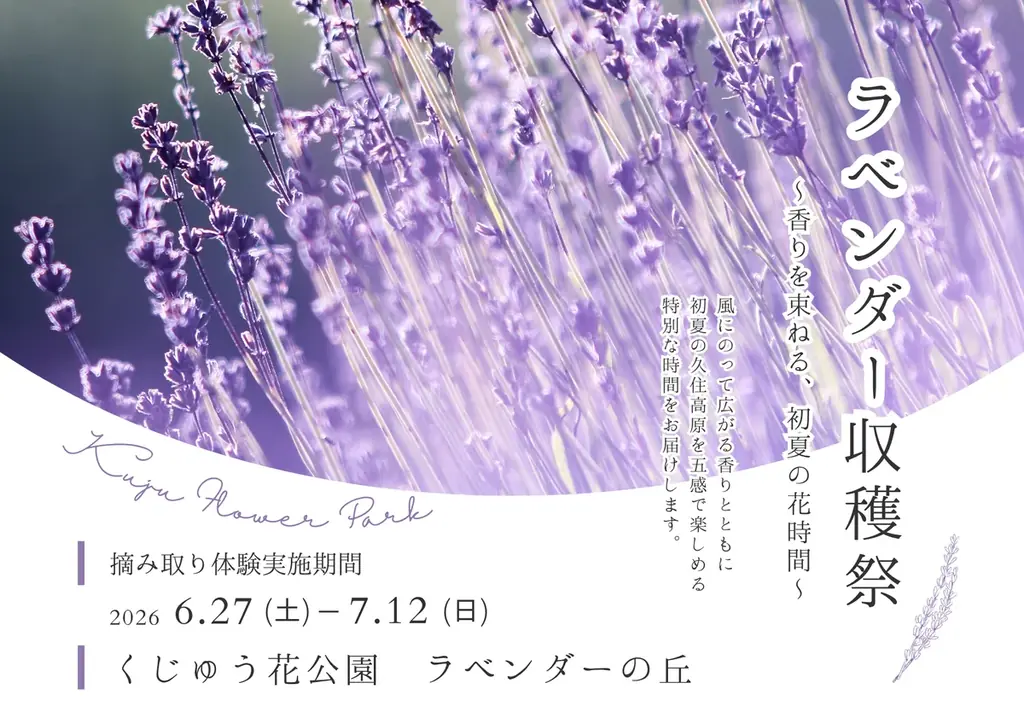くじゅう花公園ラベンダー収穫祭2026　〜香りを束ねる、初夏の花時間〜 画像 1