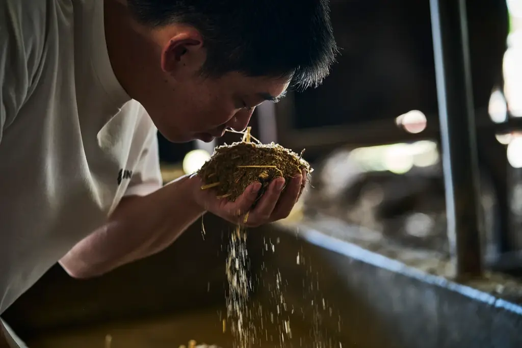 【世界初】18,000円（税込）で神戸牛と大トロをはじめとした高級鮨が“おかわり無料”。「かきだ鮨」グループ、皇居外苑を望む新店舗を丸の内にオープン 画像 4