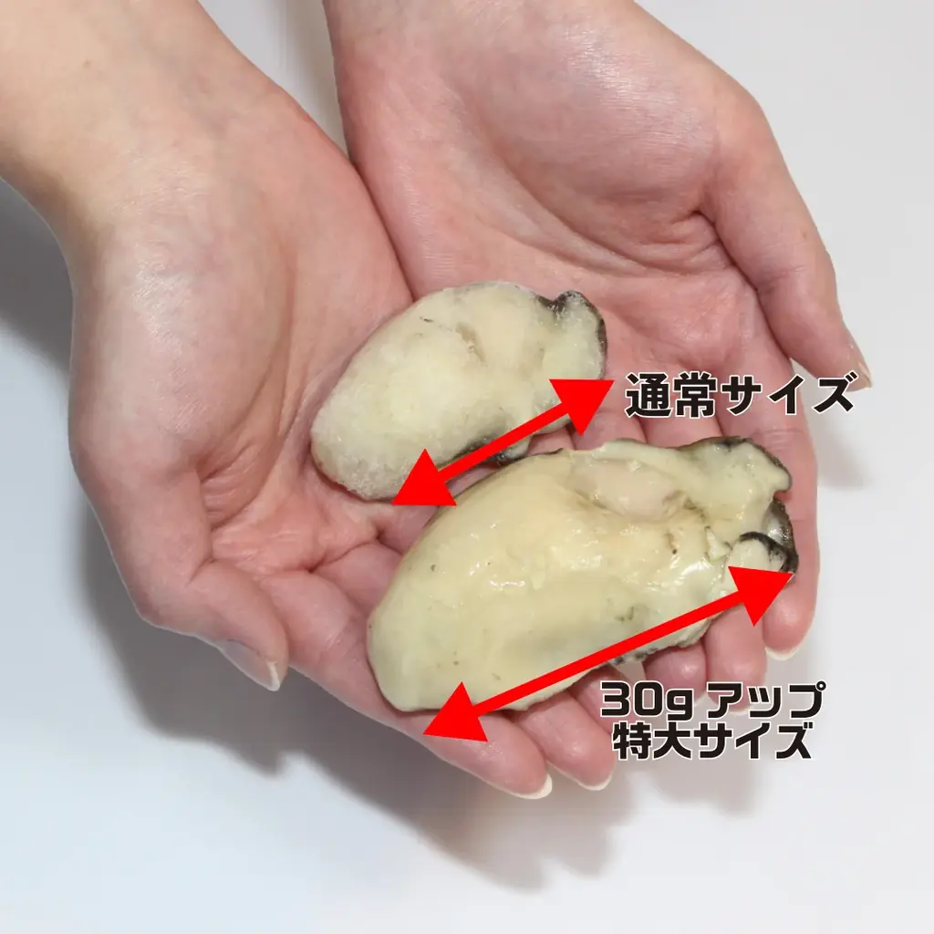 かいものパレット、6月後半「楽天お買い物マラソン」に参加。6月25日は全品ポイント10倍企画を実施。最大50％OFF。 画像 6