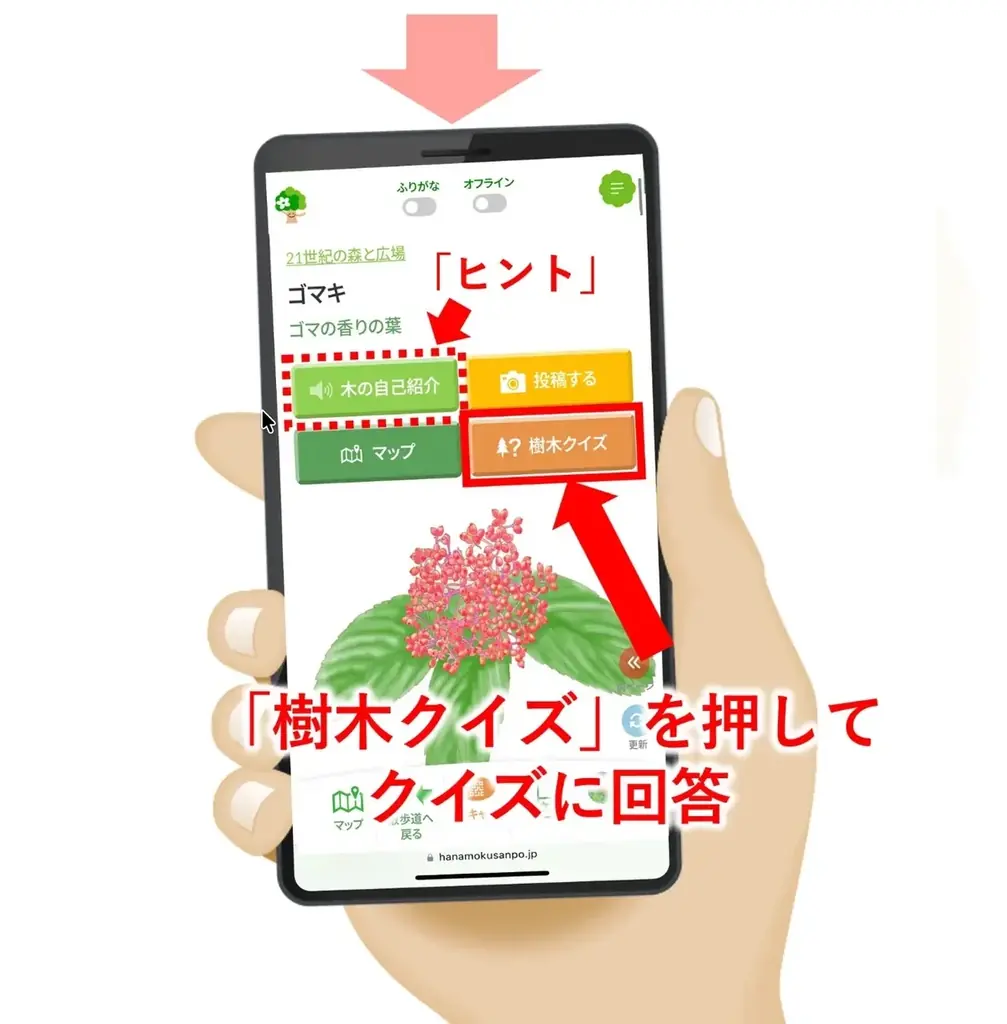 スマホ片手に夏の公園を大冒険！全国1１の公園で「夏のネイチャーハント」キャンペーンを９月末まで開催 画像 4
