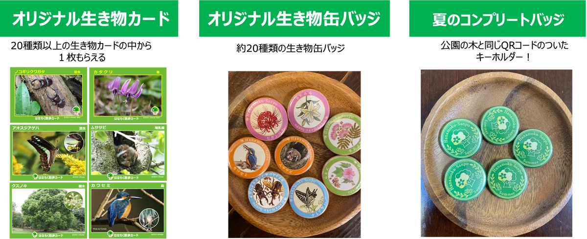 スマホ片手に夏の公園を大冒険！全国1１の公園で「夏のネイチャーハント」キャンペーンを９月末まで開催 画像 6