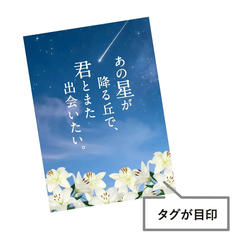 興行収入45億円の大ヒット映画の完結編『あの星が降る丘で、君とまた出会いたい。』公開記念！ 画像 9