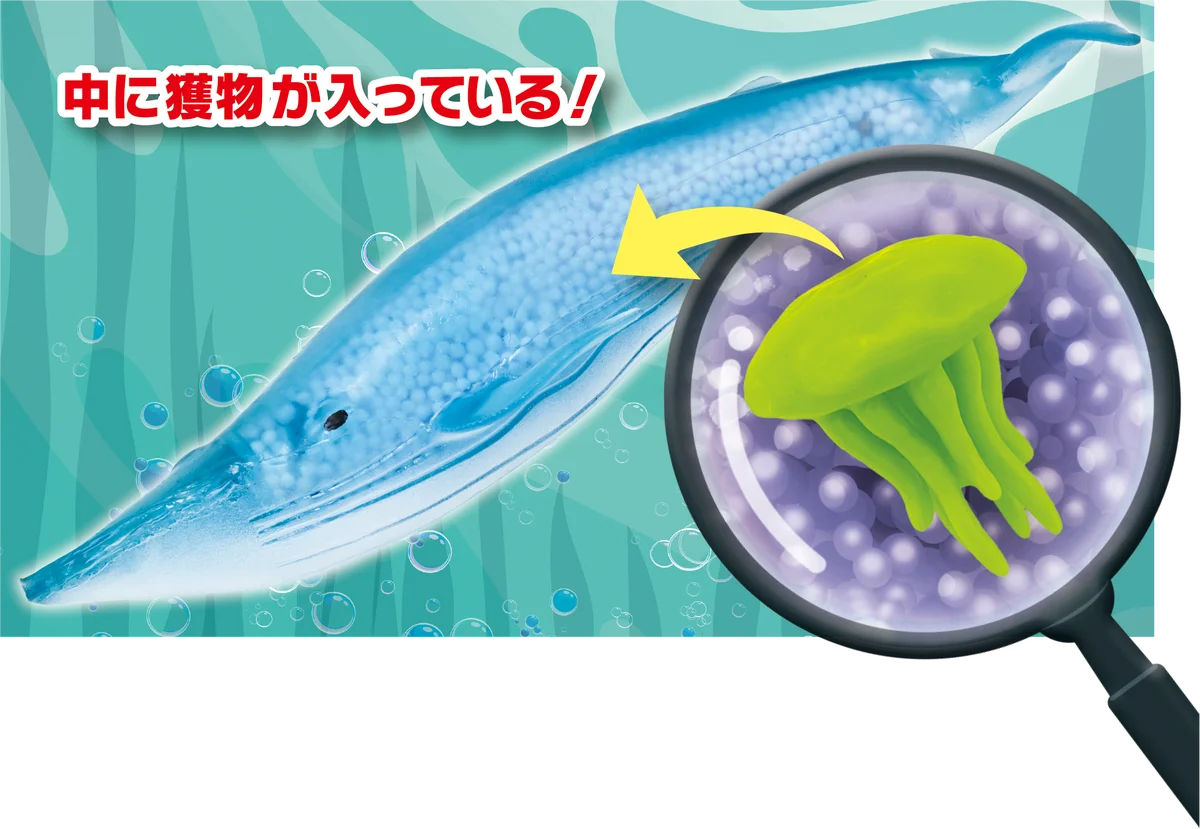 生き物について楽しく学べる「&Co.」にくじらが登場 『くじらアタック＆Co.（アンドコ）』新発売 画像 3