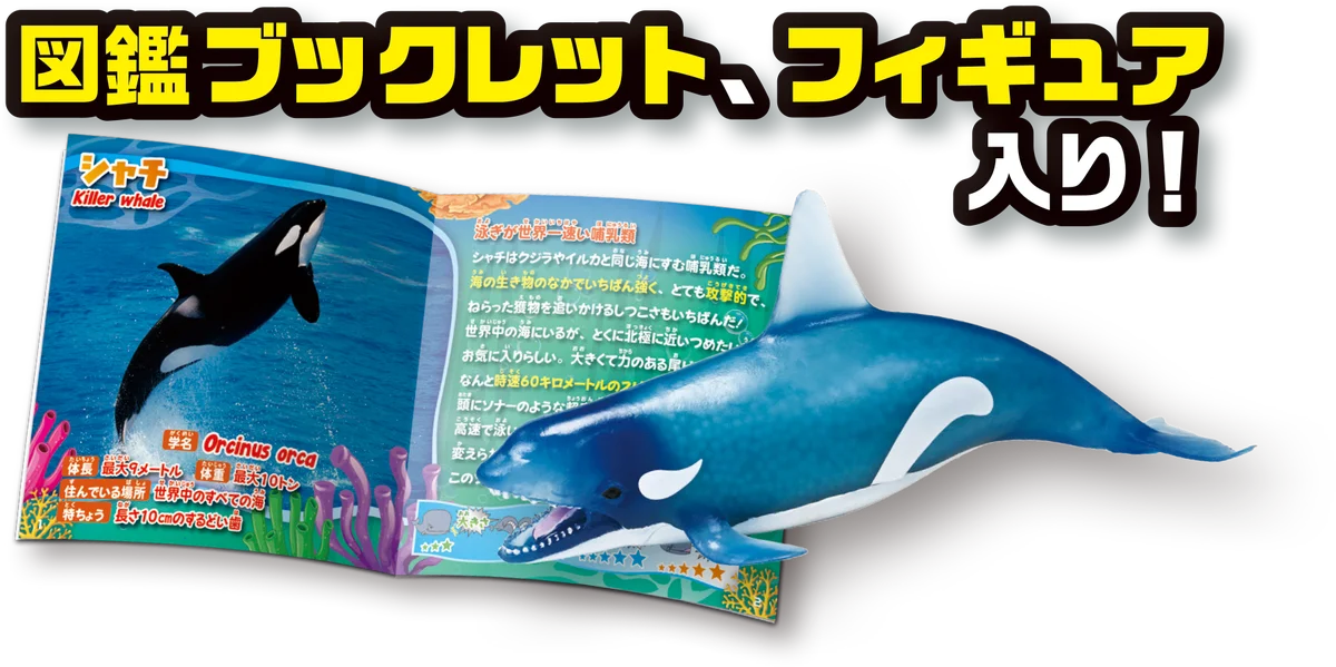 生き物について楽しく学べる「&Co.」にくじらが登場 『くじらアタック＆Co.（アンドコ）』新発売 画像 5
