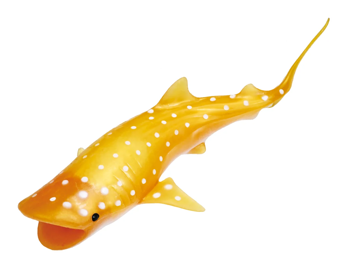 生き物について楽しく学べる「&Co.」にくじらが登場 『くじらアタック＆Co.（アンドコ）』新発売 画像 8