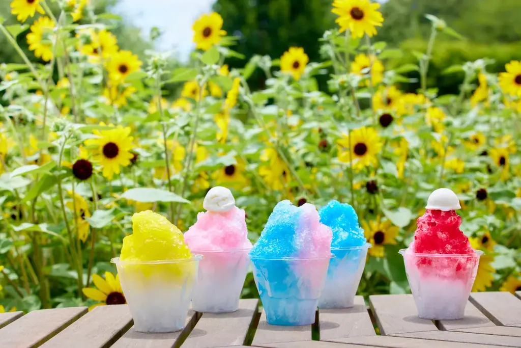 【子ども入園無料！】初開催の親子レッスンやお仕事体験など夏休み期間を楽しむ豊富なアクティビティ満載「ひまわりと過ごす里山の夏休み」 画像 17