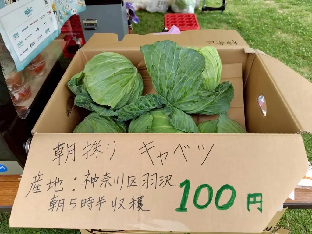 【開催レポート】横浜開港祭で180名が横浜の仕事体験に挑戦！子どもたちが地域課題に挑む職業体験「みつけイロ」を開催。フジテレビ『FNN Live News α』でも放映された次世代協創の新たな試み 画像 5