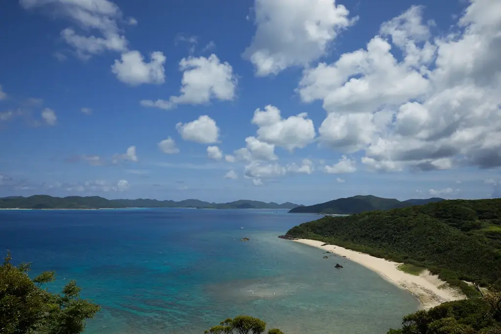 世界自然遺産・奄美大島に大人のラグジュアリーリゾート誕生「Mare Blu Amami（マーレブルー奄美）」2026年7月3日（金）グランドオープン 画像 3