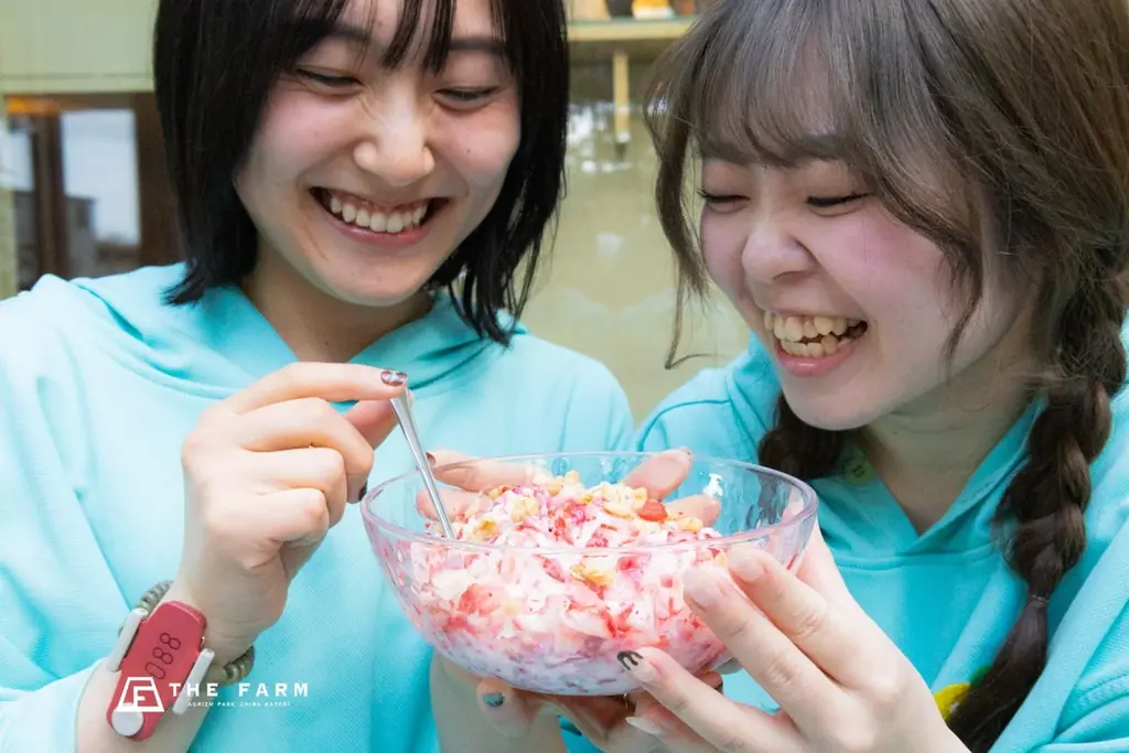 納涼アイランド2026