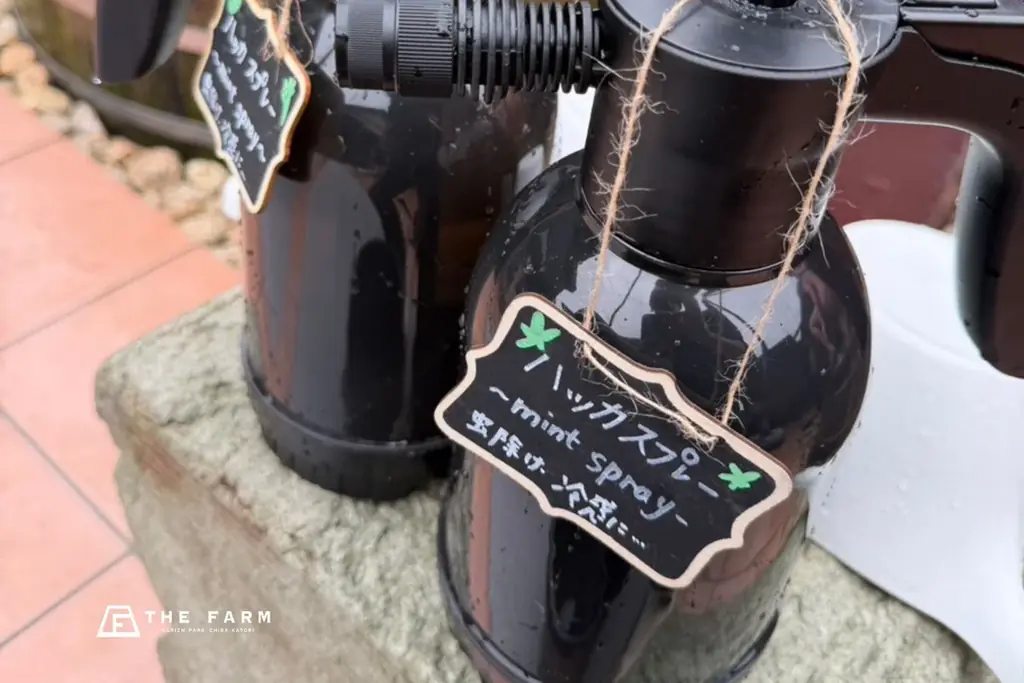 【千葉・香取】足湯なのにひんやり、熱波なのにメンソール。おふろcafé かりんの湯の夏企画「冷え冷え・納涼アイランド2026」7月1日より順次スタート 画像 5