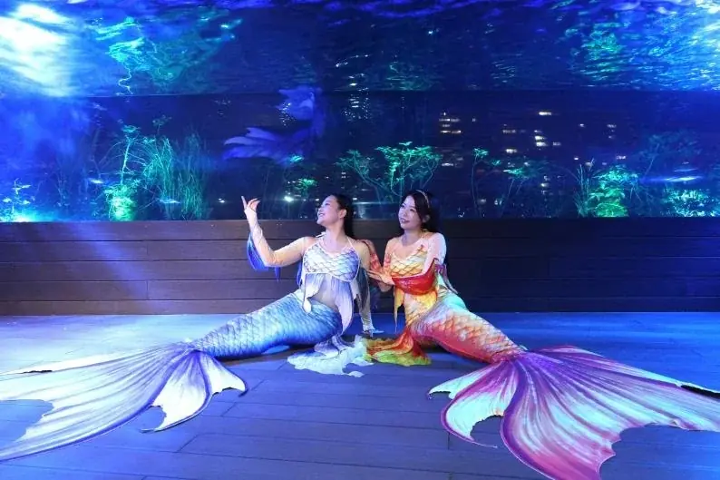 超”話題のアニメ映画『超かぐや姫！』の仮想空間〈ツクヨミ〉が夏夜の水族館に出現『サンシャイン水族館×超かぐや姫！ ツクヨミアクアリウム』開催決定！ 画像 4