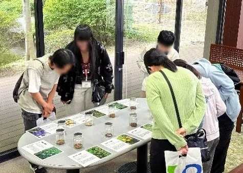 オープンキャンパスにてコラボ企画開催中！横浜薬科大学・日本薬科大学・第一薬科大学 × 薬屋のひとりごと「猫猫（マオマオ）の薬科大探訪」 画像 6