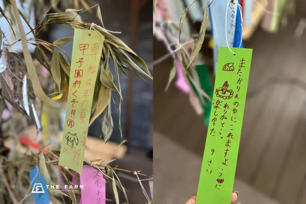 湯けむりに、願いをのせて。千葉・香取の温浴施設「おふろcafé かりんの湯」で七夕短冊イベントを開催 画像 2