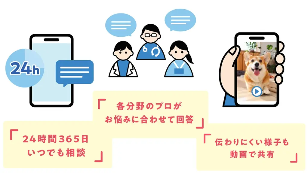 2026年10月ペットに関する相談サービスの導入および商品改定について 画像 3