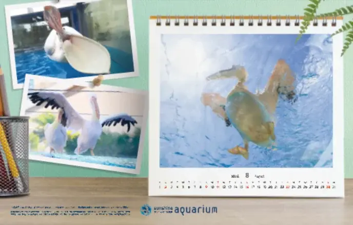 猛暑につき、水族館から“涼”をお届け。サンシャイン水族館の生き物たちがJR埼京線車両内をジャック！6月29日(月)より一足先に「暑中お見舞い申し上げます」 画像 3