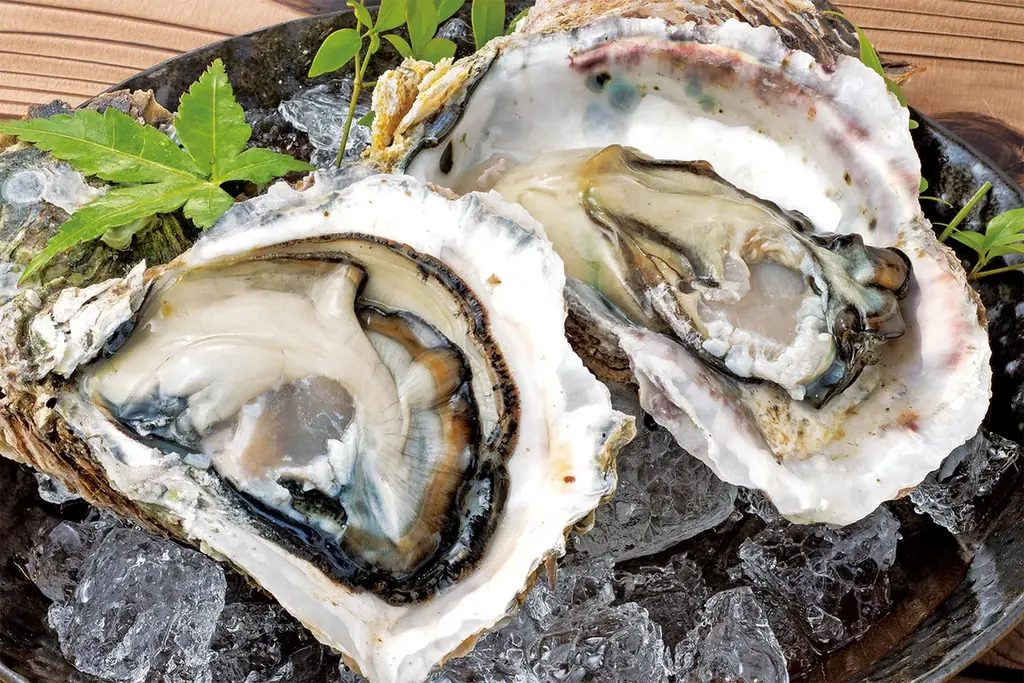 鰻に岩牡蠣に鮪など『大庄水産』で夏を乗り切る活力つけよう！全24店舗で７月旬メニュー開始!! 画像 3