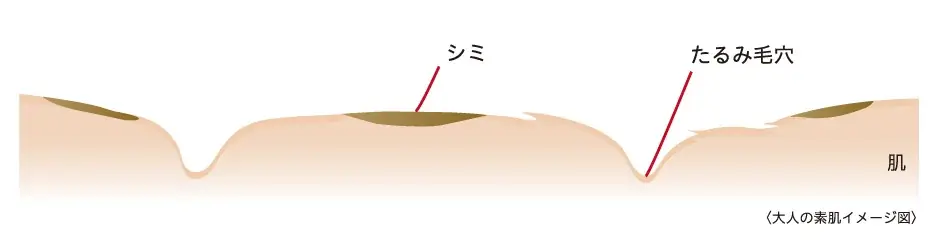 20年以上のロングセラー メディアの銘品が進化！大人の肌悩みをカバーし“やわつや”肌仕上がりに 高保湿クリームファンデーションが9月26日（土）発売 画像 5