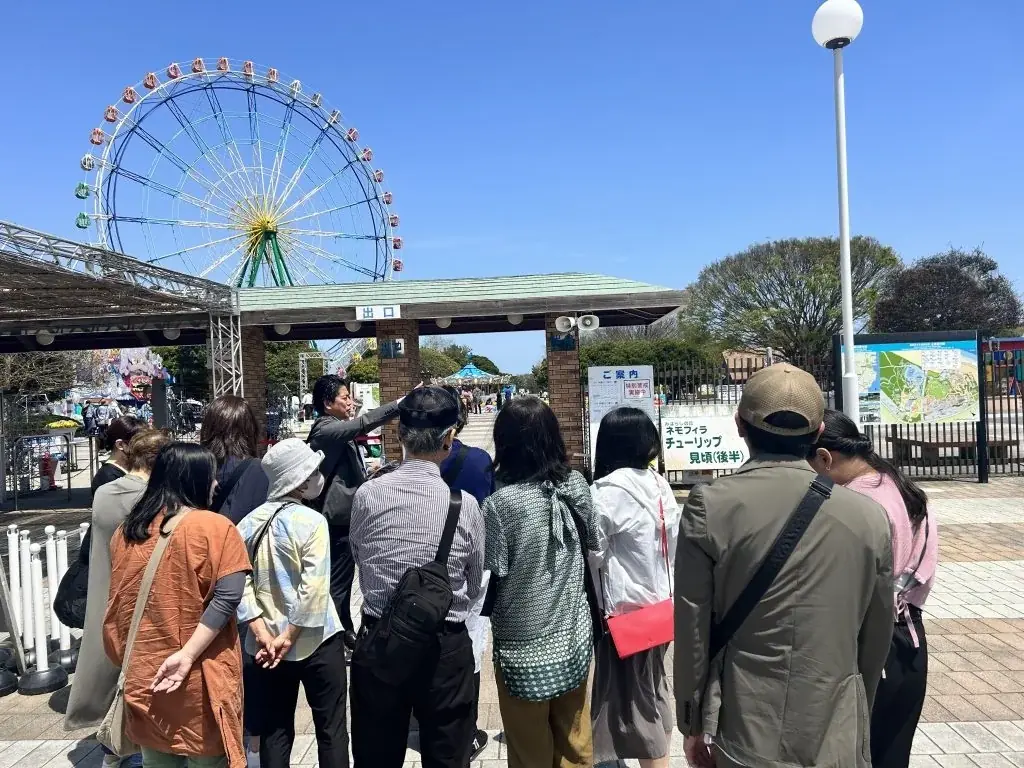 ミステリードーミー