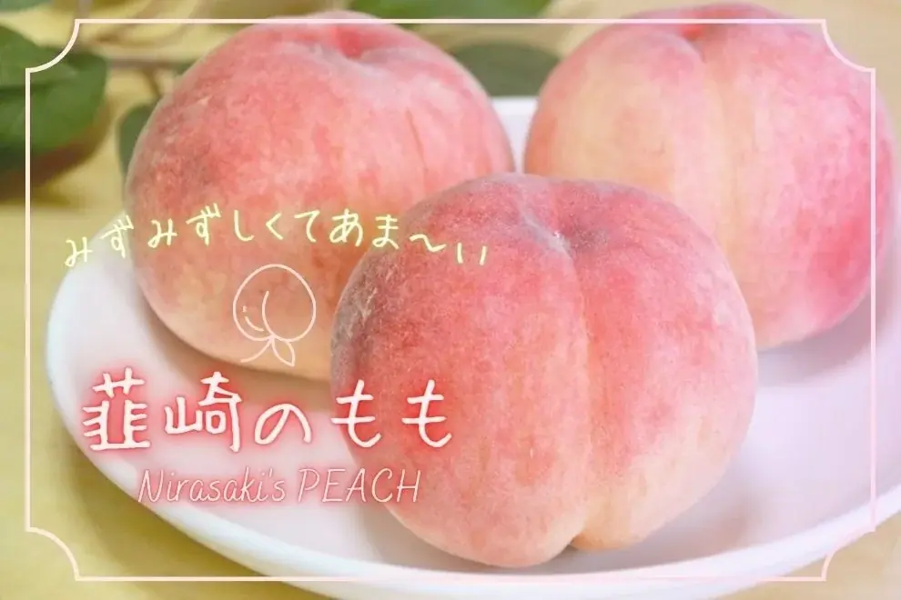 韮崎の桃、7月〜8月 旬の品種リレーと買える店
