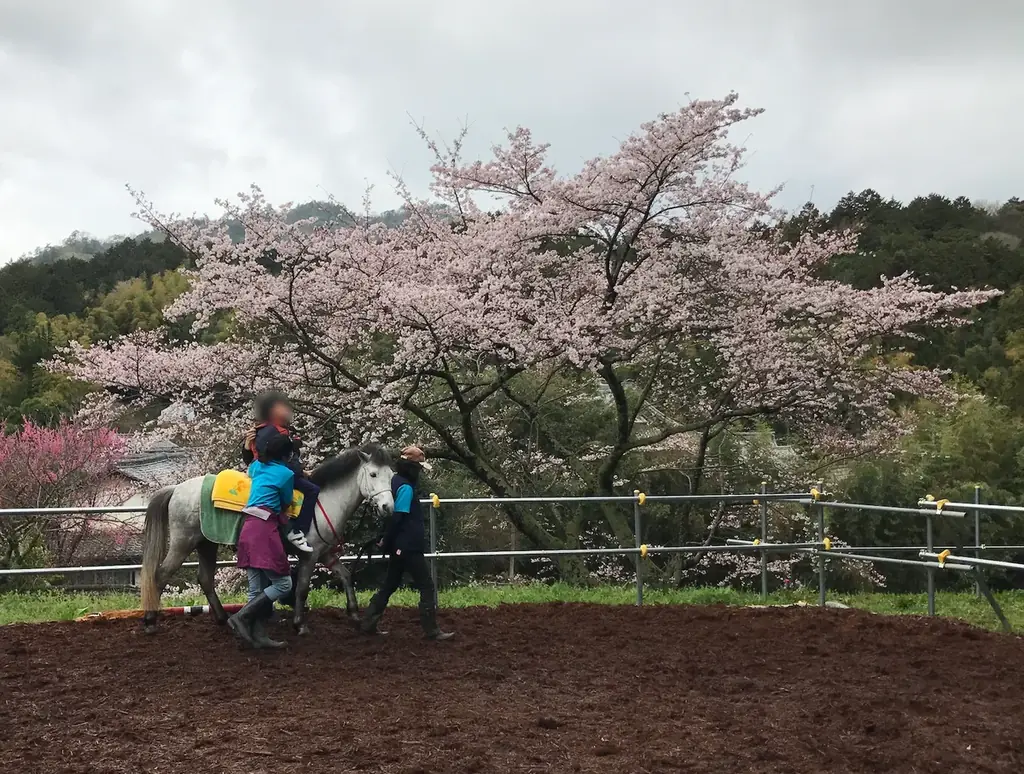 引退競走馬の未来を支えて10年。共に歩んできた皆様へ感謝を伝える記念イベントを開催 -TCC 引退競走馬ファンクラブ- 画像 3
