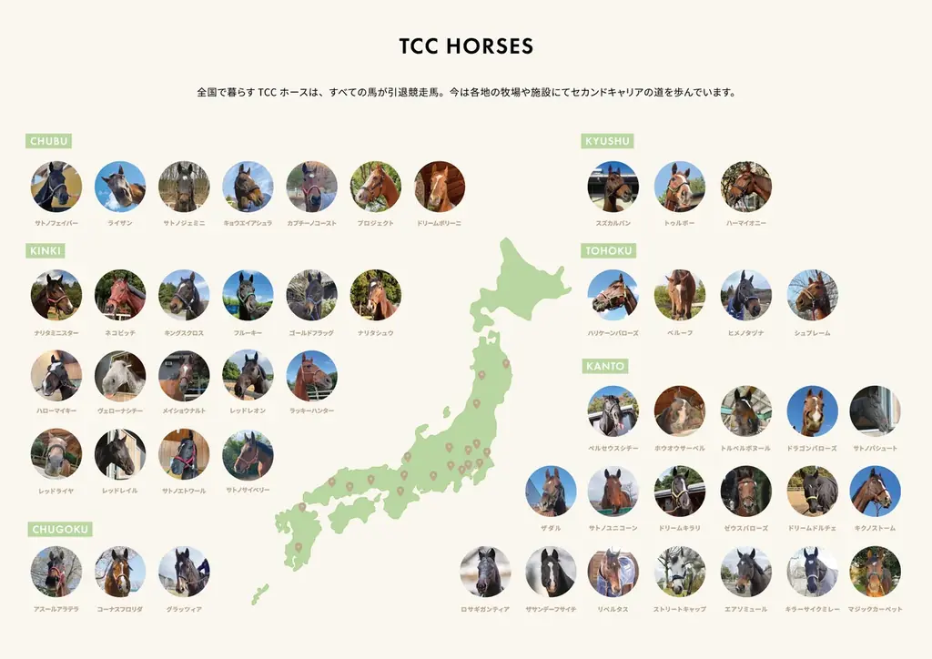 引退競走馬の未来を支えて10年。共に歩んできた皆様へ感謝を伝える記念イベントを開催 -TCC 引退競走馬ファンクラブ- 画像 5