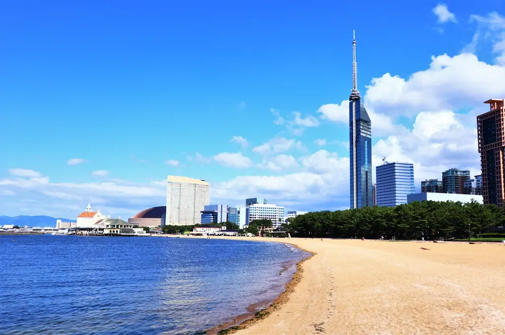 スカイマーク2026年7月臨時便の運航決定に伴い、公式ダイナミックパッケージ「たす旅」で対象便を同時発売開始!〜羽田=福岡、羽田=那覇の夏の旅行・帰省がさらにお得で便利に〜 画像 6