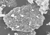 ～～【新発売】アゼライン酸を日中のメイクにも使える新習慣～～日本初独自開発アゼライン酸20％配合プレストパウダー『Lov me Touch アゼホワイトパウダー』発売 画像 4