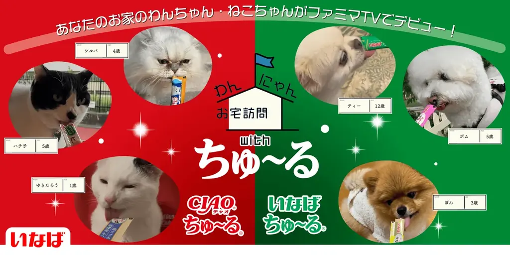 わんにゃんお宅訪問