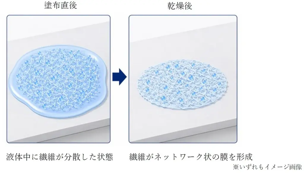 「ベンベルグ®」の紡糸技術を応用し、高機能セルロースマイクロファイバーを開発　花王のスキンケア製品「エスト ジェノリュクス クリーム」に機能性素材として採用が決定 画像 4