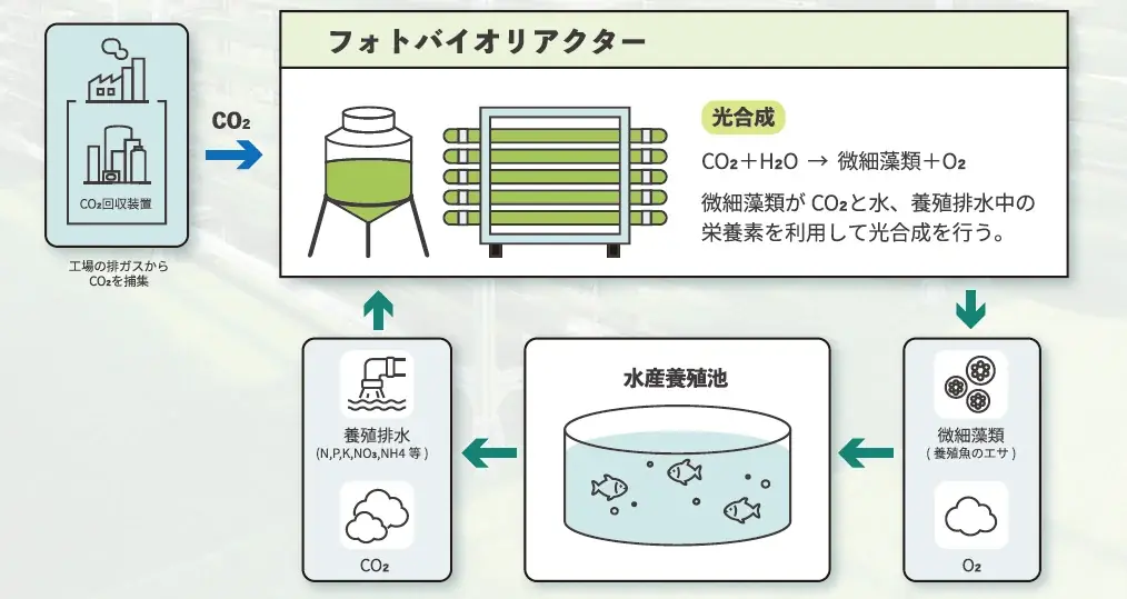 ハイケム、「光」で陸上養殖の収益性向上を支えるLED・フォトバイオリアクターを「アクアポニックス・陸上養殖設備展」で提案 画像 3