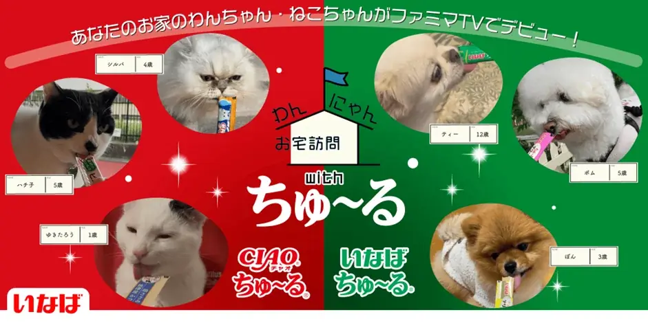 あなたの愛犬・愛猫がファミマTV出演！動画募集