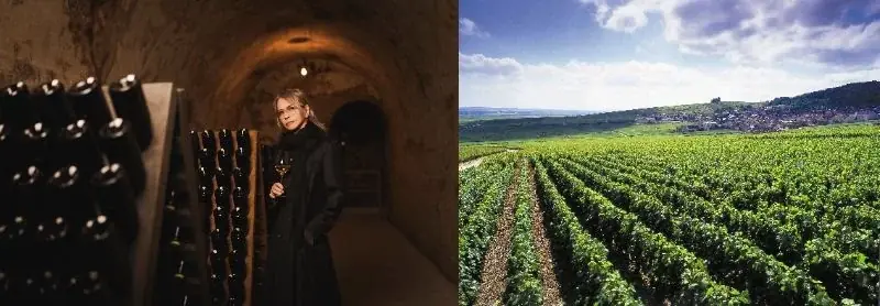 HYDE氏プロデュースの至高のワインブランド『VAMPROSE – HYDE WINES -』が誕生 画像 10