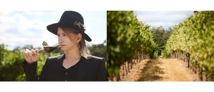 HYDE氏プロデュースの至高のワインブランド『VAMPROSE – HYDE WINES -』が誕生 画像 4