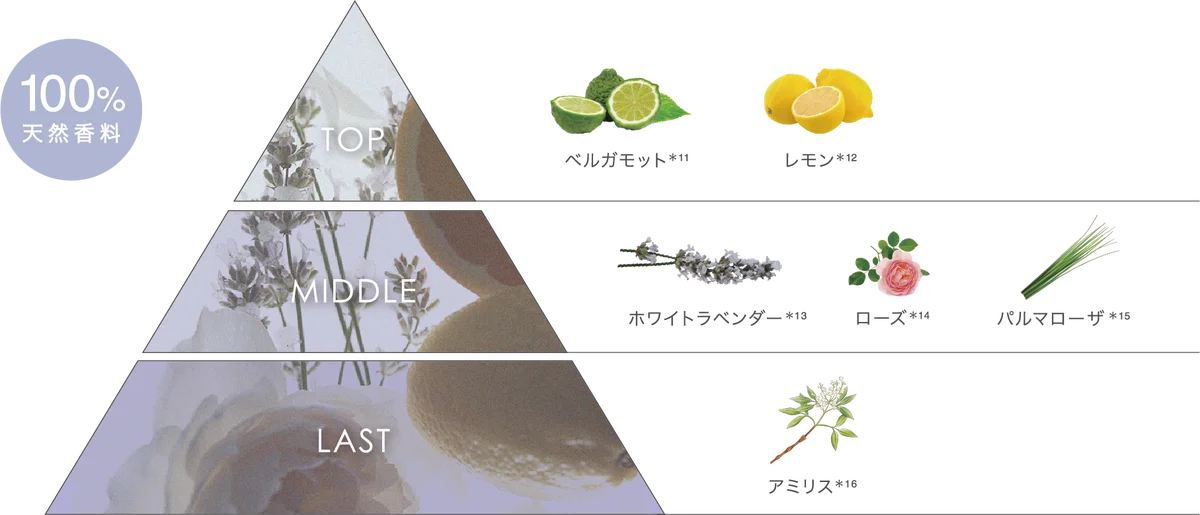 【O by F（オーバイエッフェ）】人気のヘアケアアイテムが、軽やかな甘さで心ほどける“ホワイトラベンダー”の香りと限定パッケージで登場！髪に凛と、やわらかな香りの余韻を＜8月5日(水)全国発売＞ 画像 4