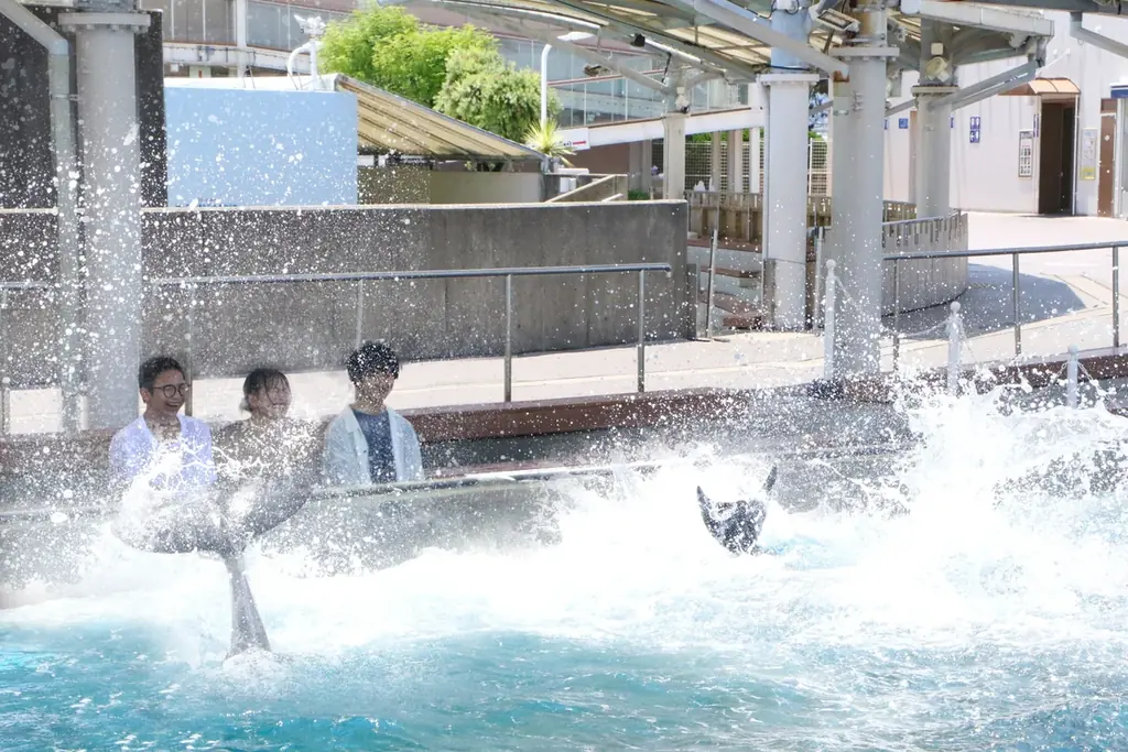【横浜・八景島シーパラダイス】「マツケンまみれまみれ島 夏の陣」 大好評『マツケンまみれゆうえんち』に続き『マツケンまみれまみれ水族館』が誕生【２０２６年７月１８日（土）～８月３１日（月）】 画像 9