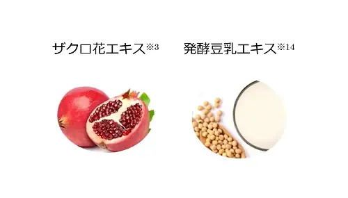 大人のハリとメイクノリ(※1)を高める「朝の美膜(びまく)乳液」誕生！コラリッチ ソアから、朝用美容乳液「デイリフトエッセンスミルク」を含むスキンケア4品を2026年9月1日リニューアル発売 画像 6