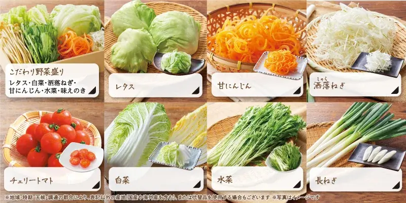 【しゃぶしゃぶ温野菜】初の学生限定プラン！食べ放題＋飲み放題で2,500円ポッキリ!!「学生グループ限定食べ飲み放題」が登場 ～40品以上の食べ放題とソフトドリンク飲み放題がセット～ 画像 7