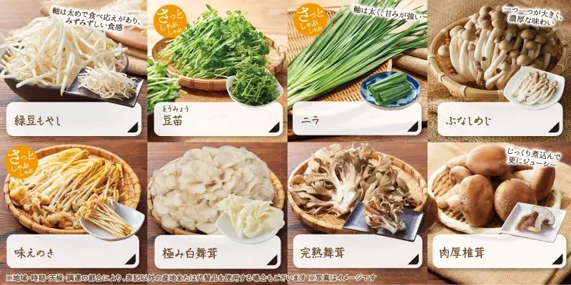 【しゃぶしゃぶ温野菜】初の学生限定プラン！食べ放題＋飲み放題で2,500円ポッキリ!!「学生グループ限定食べ飲み放題」が登場 ～40品以上の食べ放題とソフトドリンク飲み放題がセット～ 画像 8