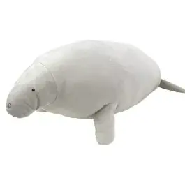 特別展「大絶滅展―生命史のビッグファイブ」展覧会オリジナルグッズ・関連イベントのご案内 画像 16